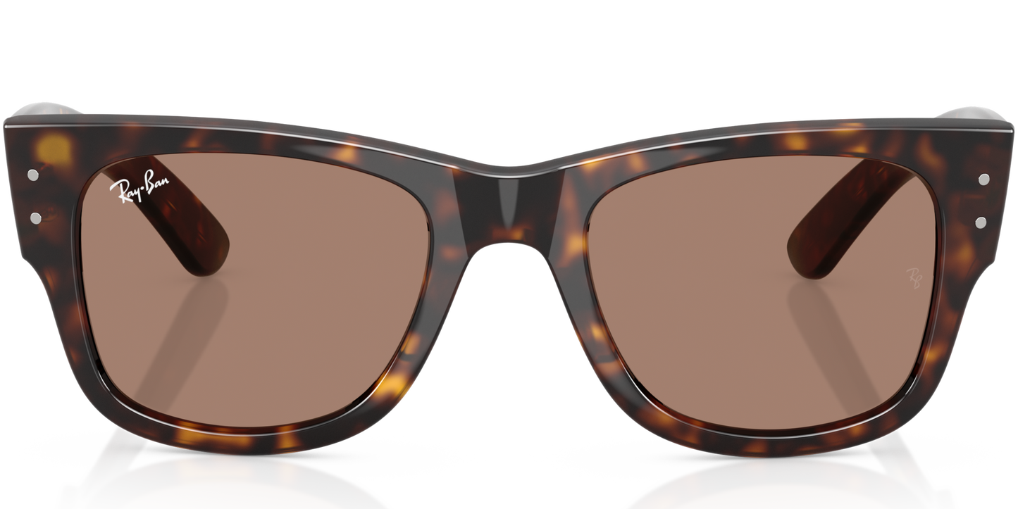 RAY-BAN 0RB0840S 902/1A - Havana Sunglasses